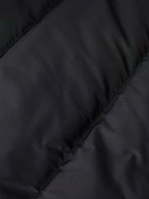 Куртки та дублянки The North Face модель NF0A832KGOE1 Фото