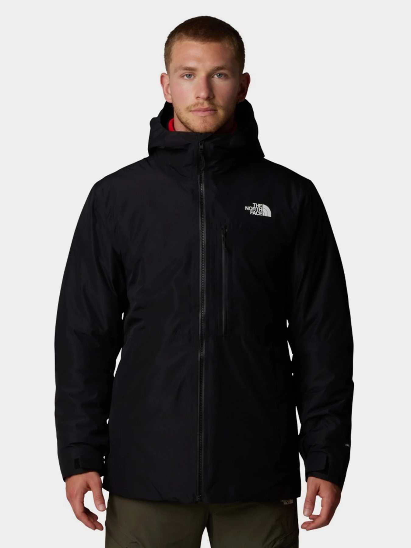 Куртки и дубленки The North Face модель NF0A84IG4HF1 Куртки и дубленки The North Face модель NF0A84IG4HF1 Фото