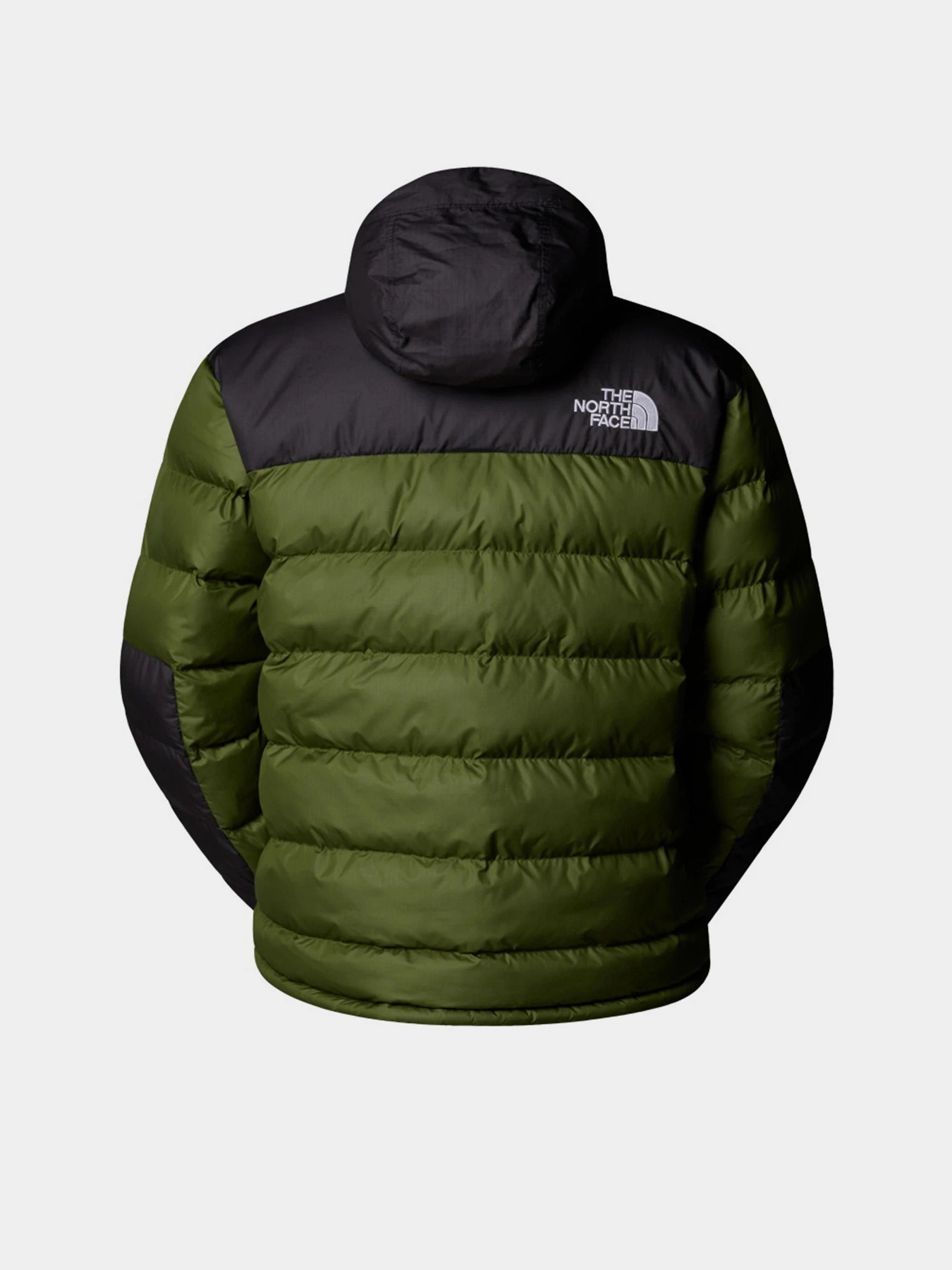 Куртки и дубленки The North Face модель NF0A89EGBRI1 Куртки и дубленки The North Face модель NF0A89EGBRI1 Фото