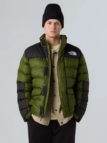 Куртки и дубленки The North Face модель NF0A89EGBRI1 Фото