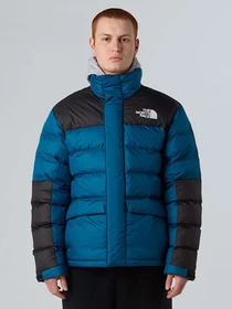 Куртки та дублянки The North Face Limbara модель NF0A89EGBSI1 Фото
