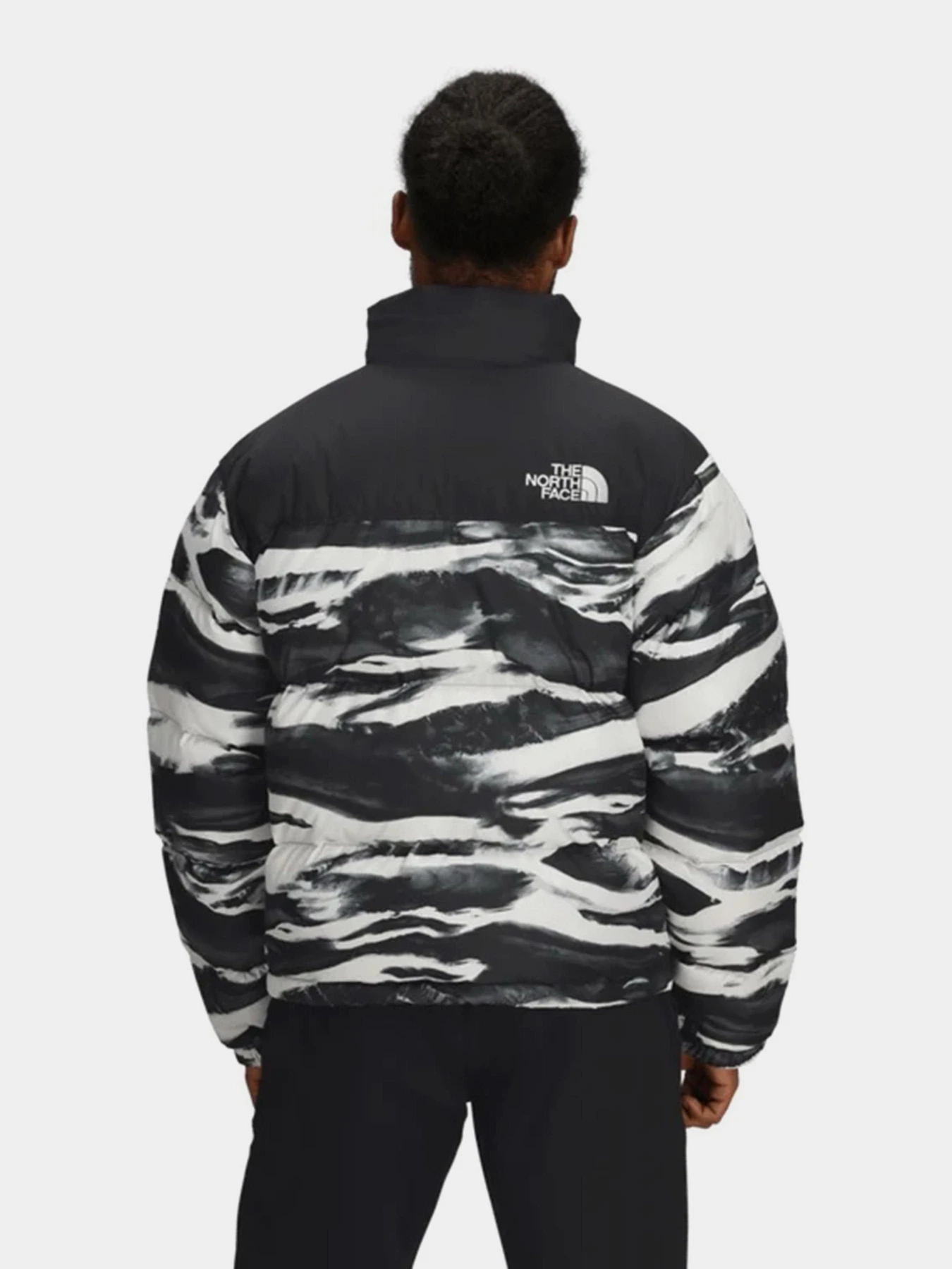 Куртки и дубленки The North Face модель NF0A8D16DJI1 Фото