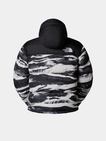 Куртки и дубленки The North Face модель NF0A8D16DJI1 Фото