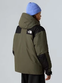 Куртки и дубленки The North Face модель NF0A8D1VBQW1 Фото
