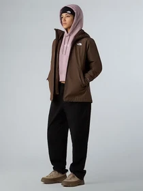 Куртки и дубленки The North Face Carto Mono Triclimate модель NF0A8D3D1OI1 Фото