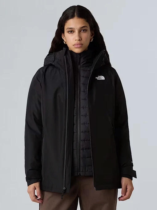 Куртки та дублянки The North Face Carto Mono Triclimate модель NF0A8D3DJK31 Фото