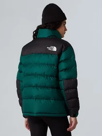 Куртки и дубленки The North Face модель NF0A8DZX1KI1 Фото