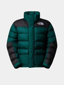 Куртки и дубленки The North Face модель NF0A8DZX1KI1 Фото