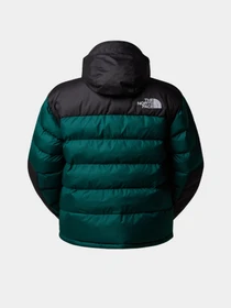 Куртки и дубленки The North Face модель NF0A8DZX1KI1 Фото