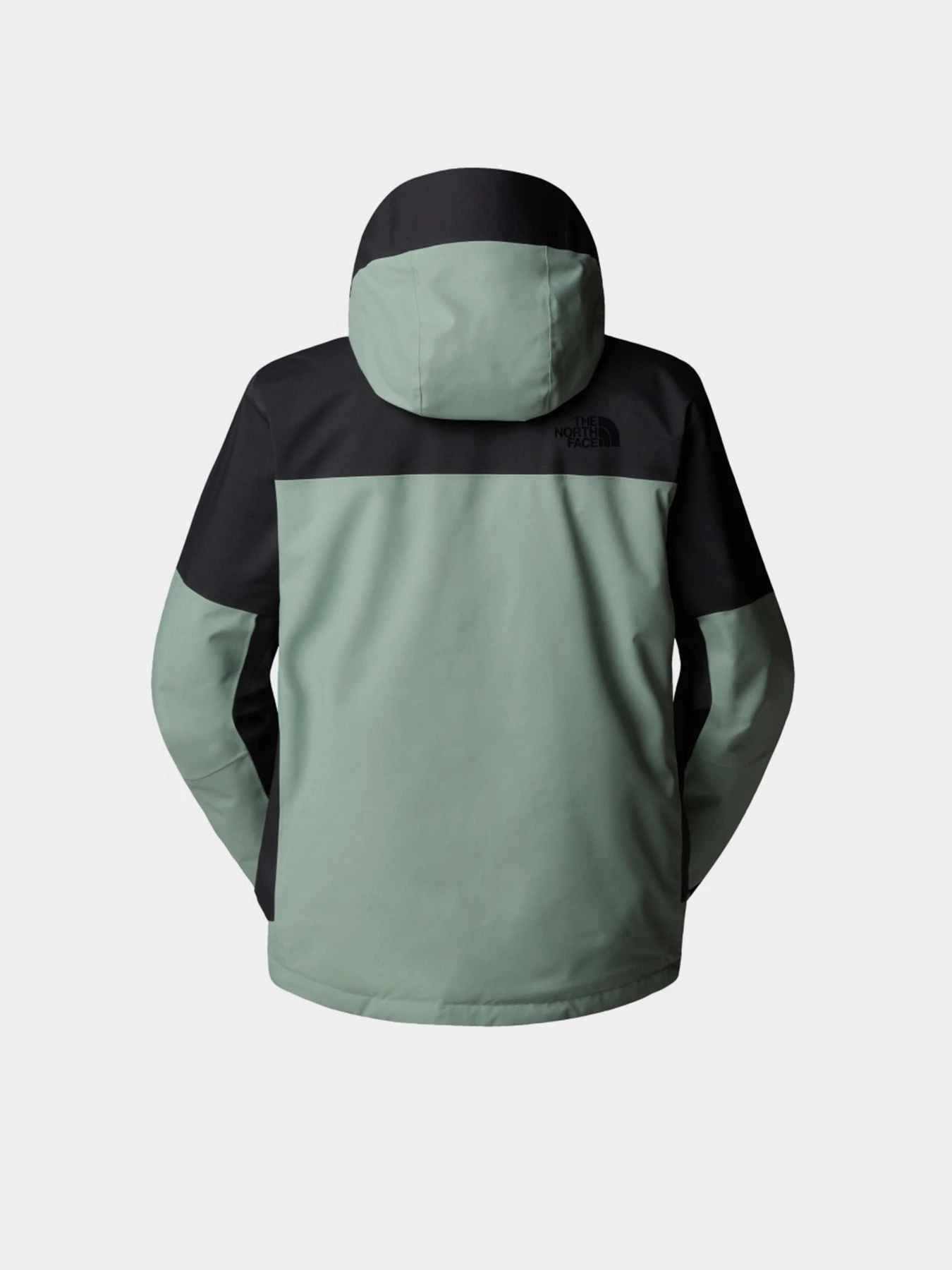 Куртки и дубленки The North Face модель NF0A87Y6D5N1 Куртки и дубленки The North Face модель NF0A87Y6D5N1 Фото