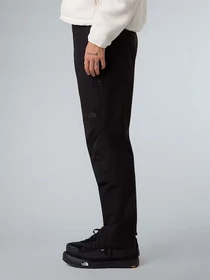 Брюки The North Face Basin Pro модель NF0A8B4YJK31 Фото