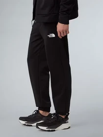 Штани The North Face Reaxion 2.0 модель NF0A8DRSKS71 Фото