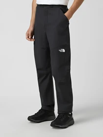 Штани The North Face Altech модель NF0A8DYN0C51 Фото