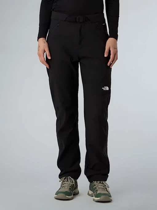 Брюки The North Face модель NF0A8E1HJK31 Фото