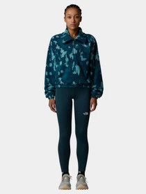 Худи и свитшоты The North Face модель NF0A8E30DQD1 Фото