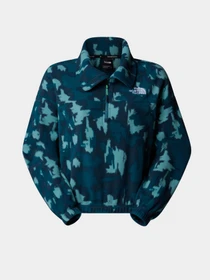 Худи и свитшоты The North Face модель NF0A8E30DQD1 Фото