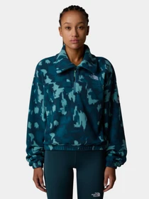 Худи и свитшоты The North Face модель NF0A8E30DQD1 Фото