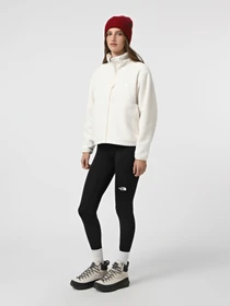 Брюки The North Face Flex 28" модель NF0A8EJBJK31 Фото