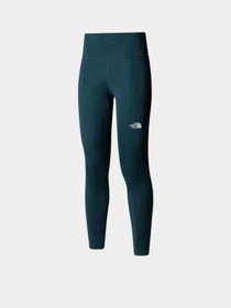 Брюки The North Face модель NF0A8EJEBSA1 Фото