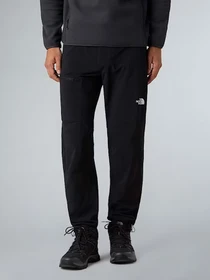 Брюки The North Face Speedlight модель NF0A8EKQJK31 Фото