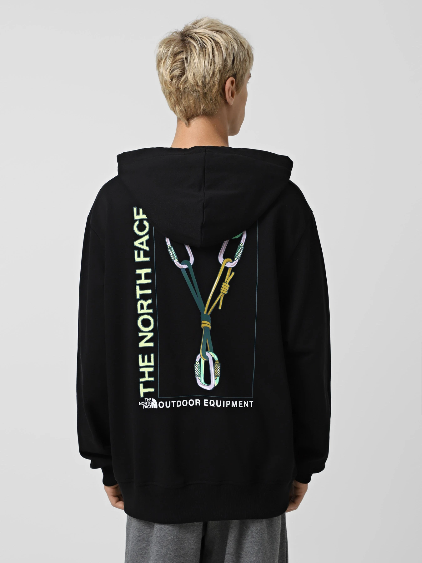 Худи и свитшоты The North Face Gear модель NF0A8F2KJK31 Худи и свитшоты The North Face Gear модель NF0A8F2KJK31 Фото