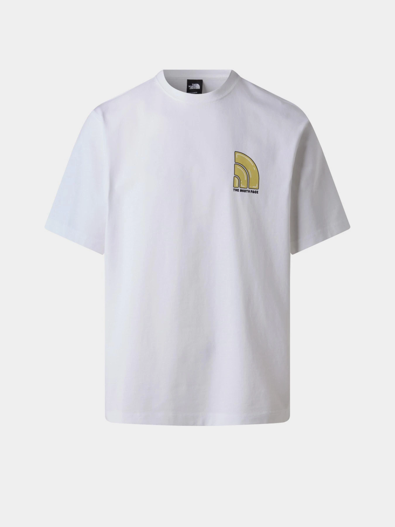 Футболки і поло The North Face Bubble модель NF0A8F2RFN41 Фото