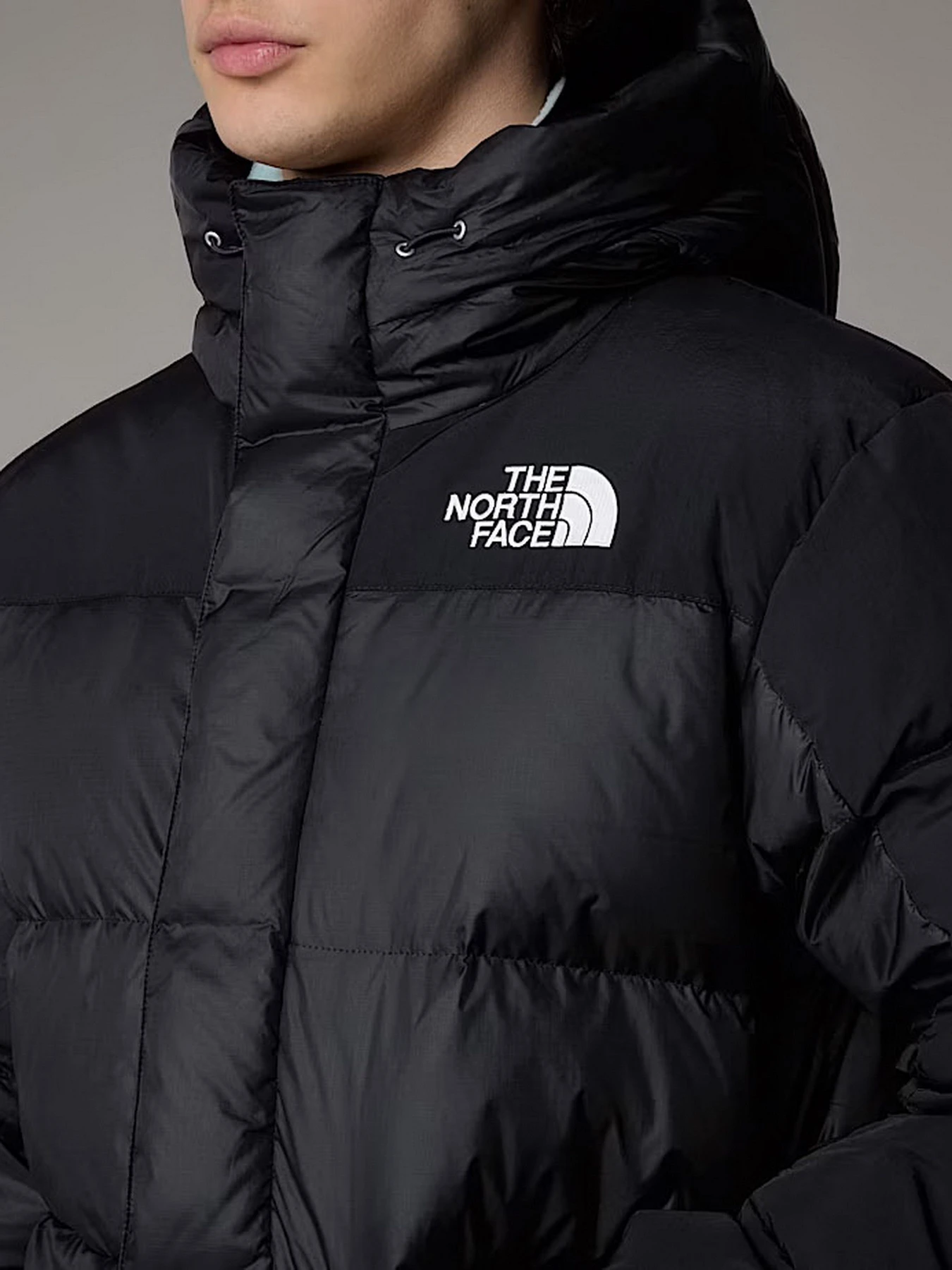 Куртки и дубленки The North Face модель NF0A4QYXGOF1 Куртки и дубленки The North Face модель NF0A4QYXGOF1 Фото