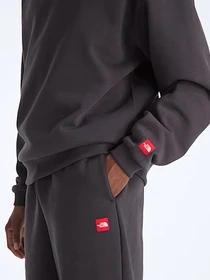 Худи и свитшоты The North Face M TNF RED BOX HOODIE модель NF0A8EFZ0SA1 Фото