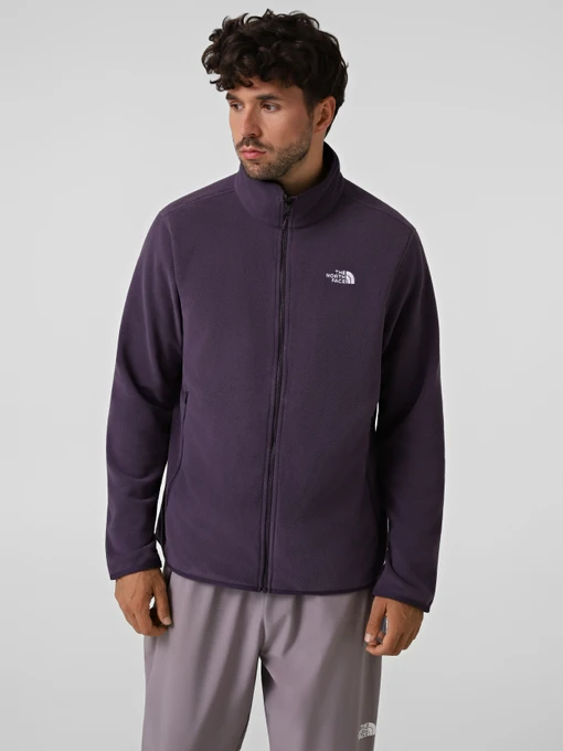 Худи и свитшоты The North Face M GLACIER FLEECE JACKET модель NF0A8D0RG5O1 Фото