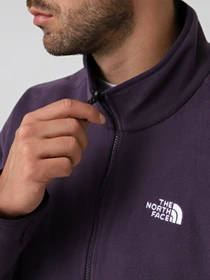 Худи и свитшоты The North Face M GLACIER FLEECE JACKET модель NF0A8D0RG5O1 Фото