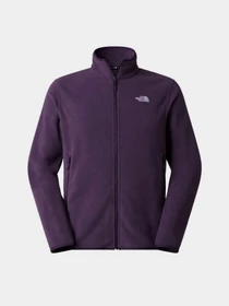 Худи и свитшоты The North Face M GLACIER FLEECE JACKET модель NF0A8D0RG5O1 Фото