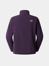 Худи и свитшоты The North Face M GLACIER FLEECE JACKET модель NF0A8D0RG5O1 Фото