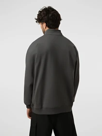 Худи и свитшоты The North Face U ESSENTIAL LIGHT RELAXED 1/4 модель NF0A8GQFRHI1 Фото