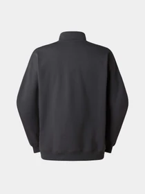 Худи и свитшоты The North Face U ESSENTIAL LIGHT RELAXED 1/4 модель NF0A8GQFRHI1 Фото