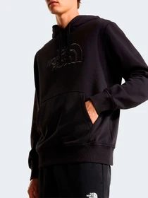 Худи и свитшоты The North Face M DREW PEAK LIGHT REGULAR HOOD модель NF0A8C1BW9O1 Фото