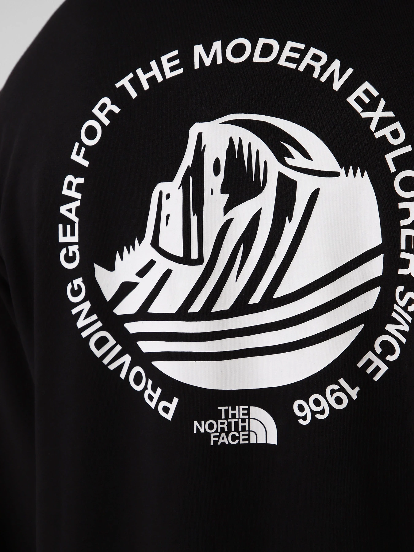 Худі та світшоти The North Face M MONTE REGULAR HOODIE-GRAPHIC модель NF0A8GA8JK31 Худі та світшоти The North Face M MONTE REGULAR HOODIE-GRAPHIC модель NF0A8GA8JK31 Фото