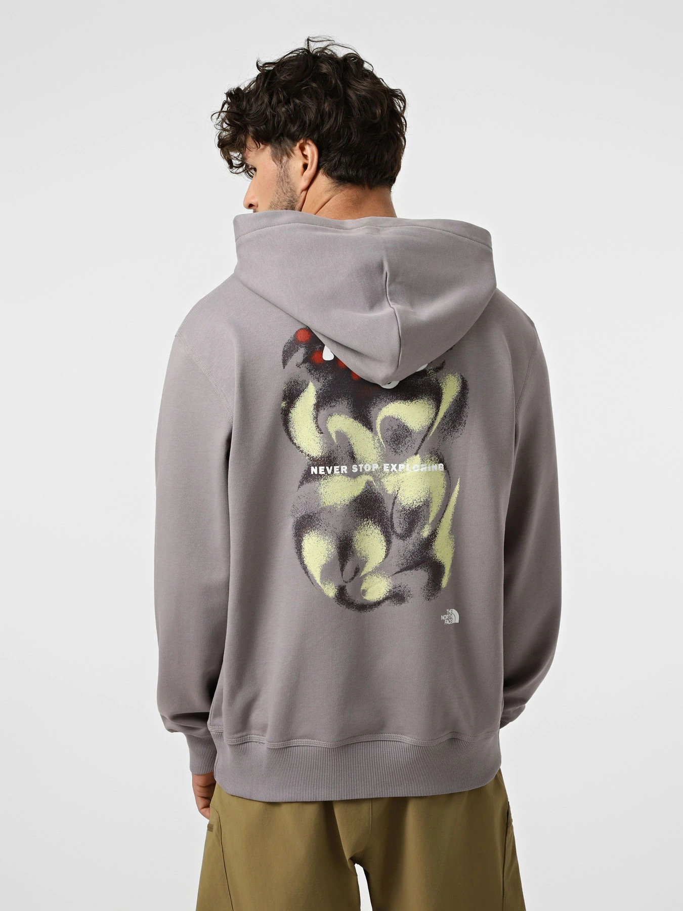 Худи и свитшоты The North Face U 1966 MOTION RELAXED HOODIE-G модель NF0A8GAJG7O1 Фото