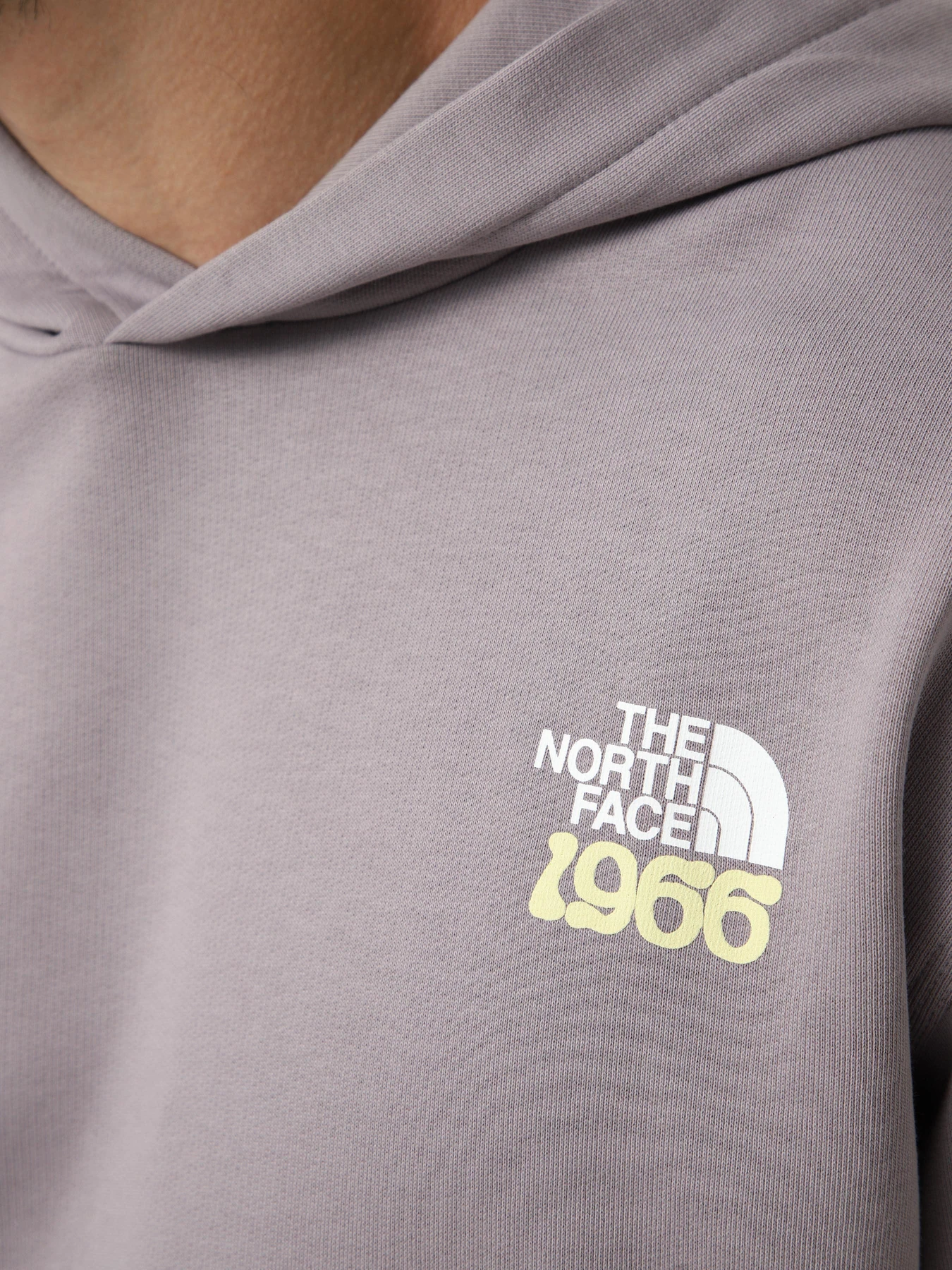Худи и свитшоты The North Face U 1966 MOTION RELAXED HOODIE-G модель NF0A8GAJG7O1 Фото