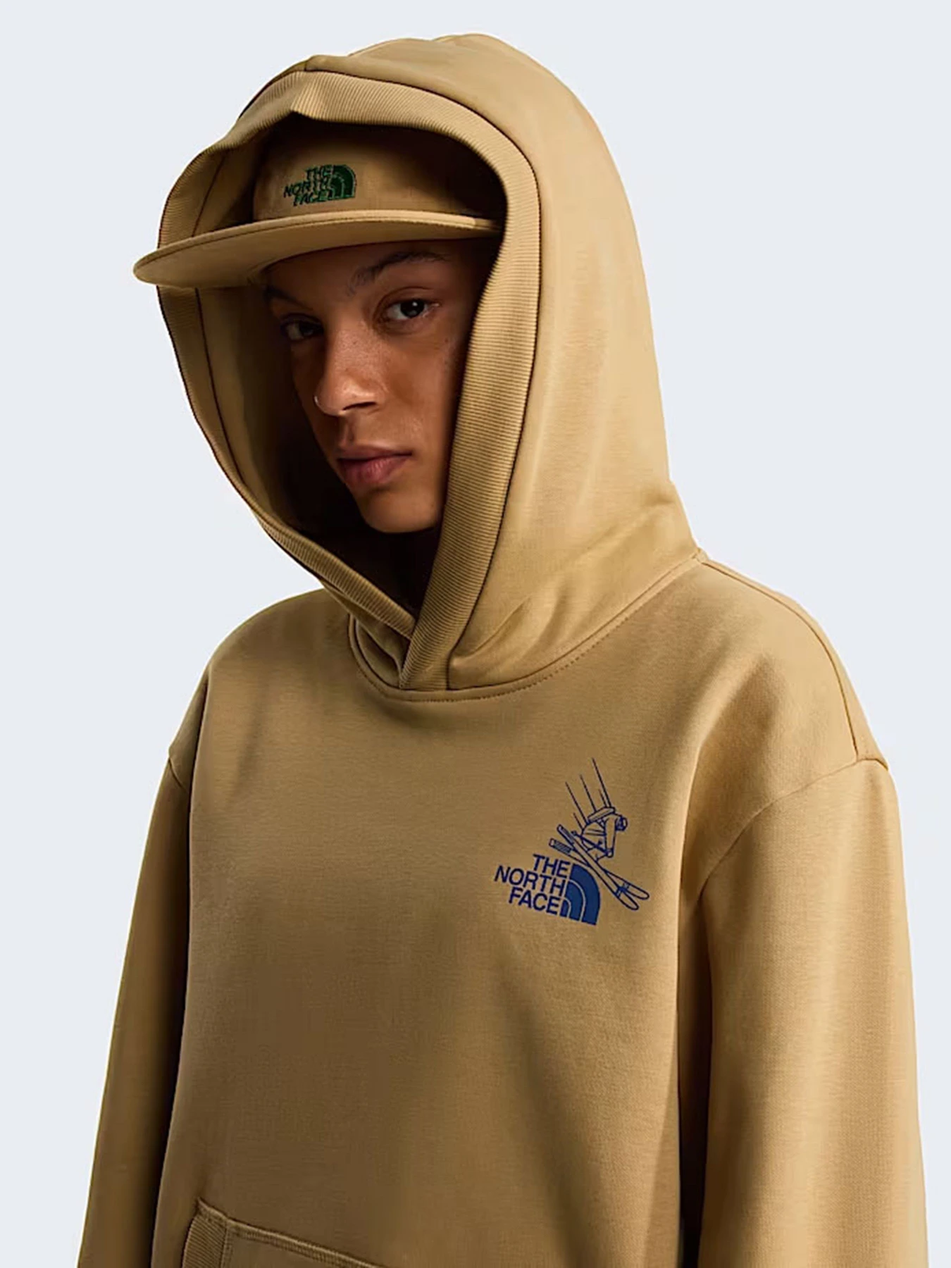Худи и свитшоты The North Face U MOUNTAIN CELEBRATION RELAXED модель NF0A8GB9LK51 Худи и свитшоты The North Face U MOUNTAIN CELEBRATION RELAXED модель NF0A8GB9LK51 Фото