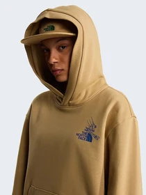 Худи и свитшоты The North Face U MOUNTAIN CELEBRATION RELAXED модель NF0A8GB9LK51 Фото
