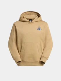 Худи и свитшоты The North Face U MOUNTAIN CELEBRATION RELAXED модель NF0A8GB9LK51 Фото