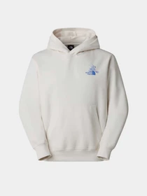 Худи и свитшоты The North Face U MOUNTAIN CELEBRATION RELAXED модель NF0A8GB9QLI1 Фото