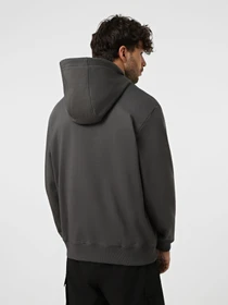 Худи и свитшоты The North Face U ESSENTIAL LIGHT RELAXED HOOD модель NF0A8GQDRHI1 Фото