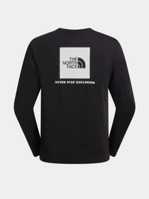 Худи и свитшоты The North Face M EVOLUTION BOX NSE REGULAR LO модель NF0A8B68KY41 Фото
