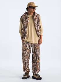 Худи и свитшоты The North Face M EVOLUTION SIMPLE DOME REGULA модель NF0A8EU3LK51 Фото