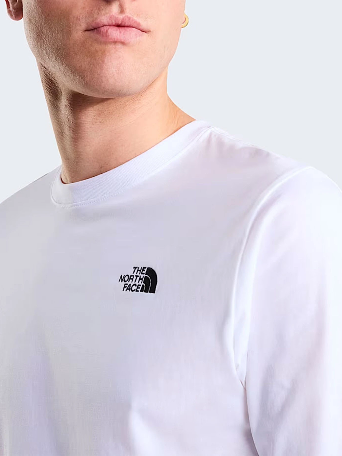 Худи и свитшоты The North Face M EVOLUTION SIMPLE DOME REGULA модель NF0A8EU3FN41 Фото