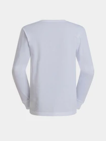 Худи и свитшоты The North Face M EVOLUTION SIMPLE DOME REGULA модель NF0A8EU3FN41 Фото
