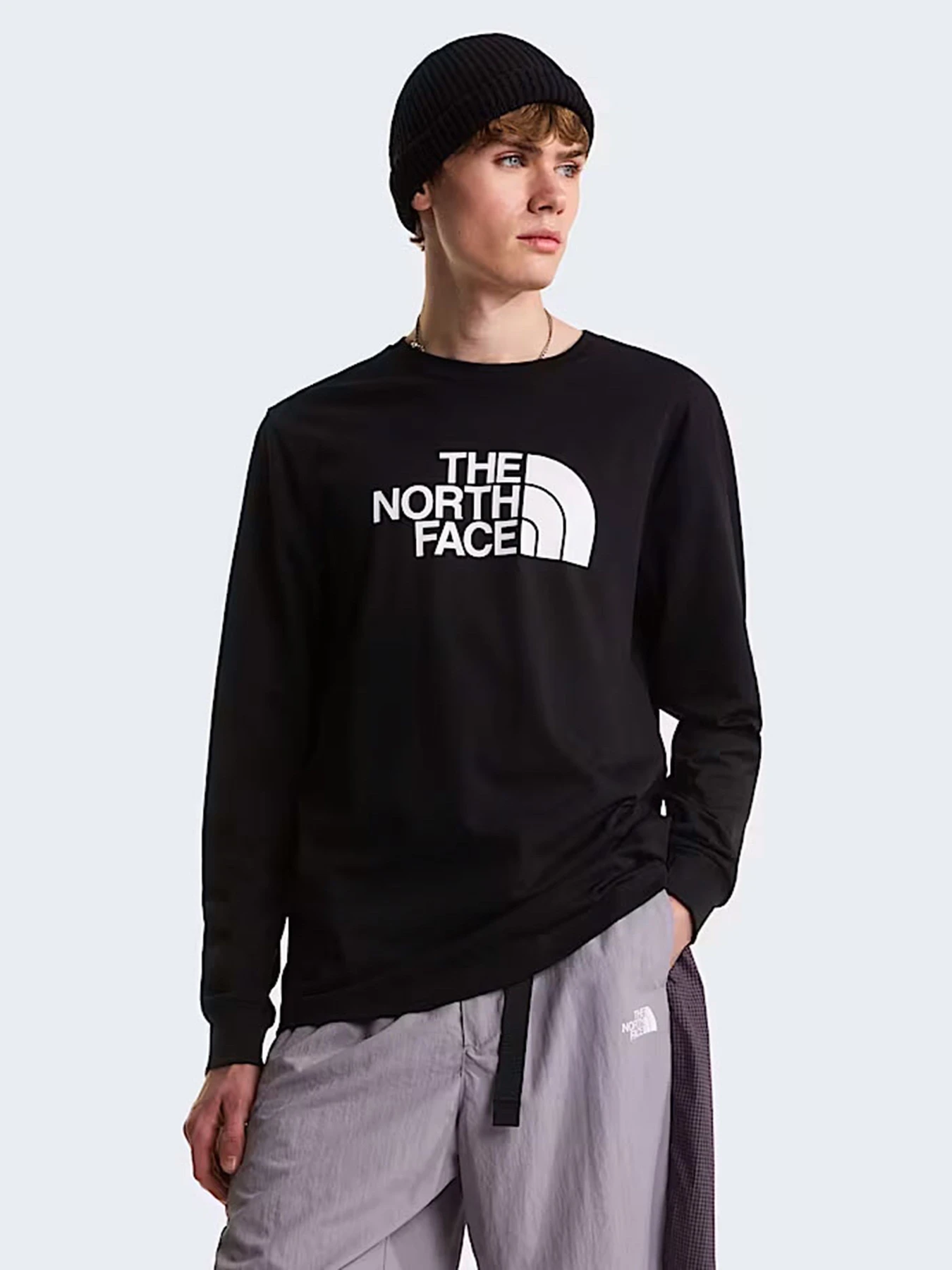 Худи и свитшоты The North Face M EVOLUTION HALF DOME REGULAR модель NF0A8FD6JK31 Худи и свитшоты The North Face M EVOLUTION HALF DOME REGULAR модель NF0A8FD6JK31 Фото
