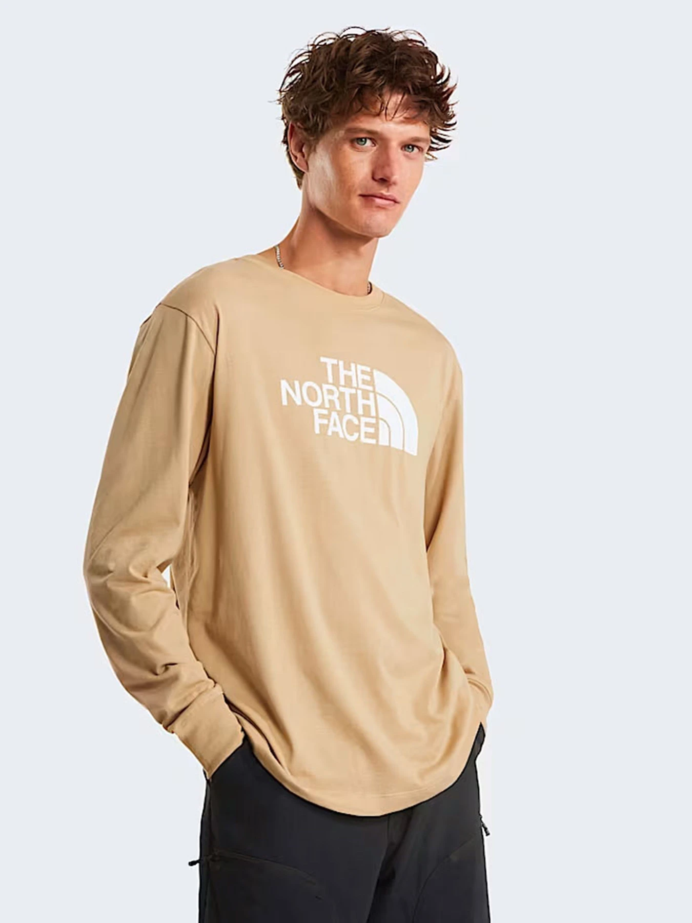 Худи и свитшоты The North Face M EVOLUTION HALF DOME REGULAR модель NF0A8FD6LK51 Худи и свитшоты The North Face M EVOLUTION HALF DOME REGULAR модель NF0A8FD6LK51 Фото