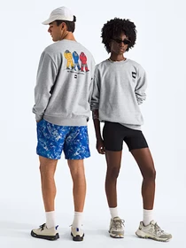 Худи и свитшоты The North Face U TNF CELEBRATION RELAXED CREW модель NF0A8GATDYX1 Фото